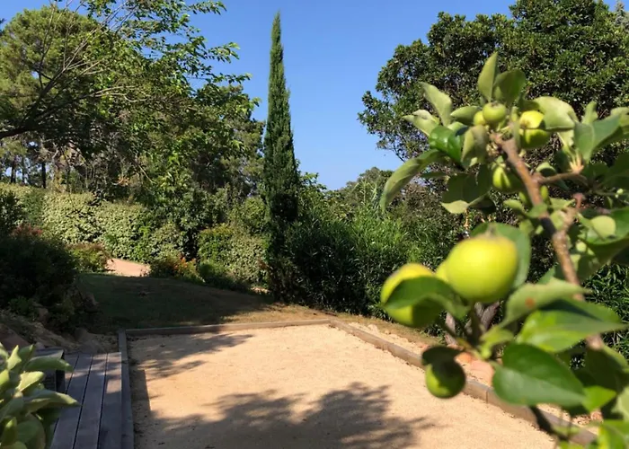 Apartment Casa Mathilde Lecci